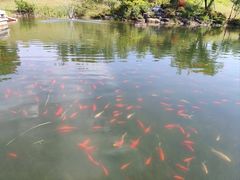 -雅达·阳羡溪山小镇中心