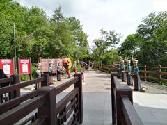 -武隆天坑寨子景区