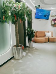 -联合丽格·张菡丽格医疗美容