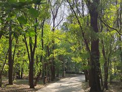 -廊坊市自然公园