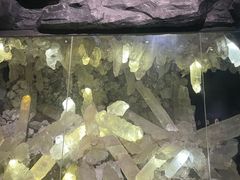 -湖南省地质博物馆