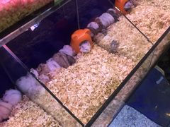 -欧亚超市(站前店)