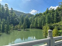 -广州市帽峰山景区