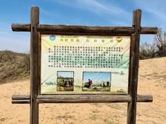 -黄沙古渡原生态旅游区