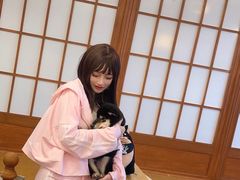 -豆柴町-柴犬主题狗咖(红鼎国际C座店)