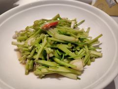 砂锅水芹-食悦江南·淮扬菜·烤鸭(亚运村·惠新店)