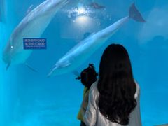 -蓬莱欧乐堡海洋极地世界