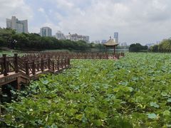 -南宁南湖公园