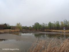 -淇河国家湿地公园