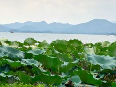 -湖畔居茶楼(湖滨店)