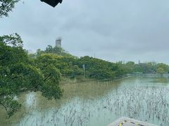 -江心屿景区