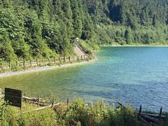 -武陵山森林公园