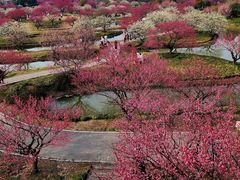 -花开海上生态园