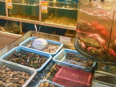 -鑫悦楼煎蟹·16年海鲜大排档