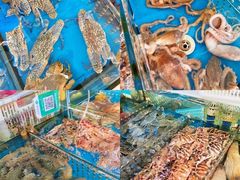 -白沙门生态公园