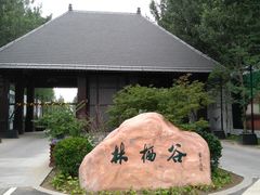 -林栖谷森林康养度假区