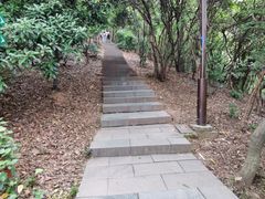 -杭州半山国家森林公园