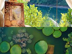 -西双版纳总佛寺