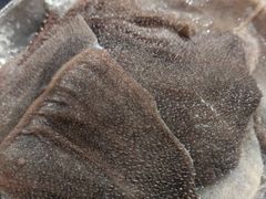 -铜元老码头鳝鱼火锅