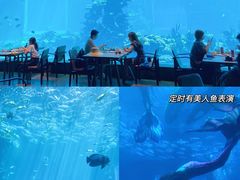 -海棠湾洲际-涛·海底餐厅·美人鱼·自助餐·海底隧道