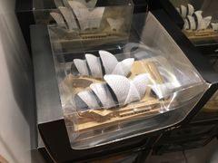 -悉尼歌剧院