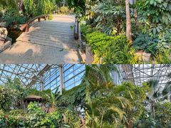 -祥源·阜阳生态乐园