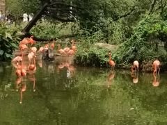 -广州动物园