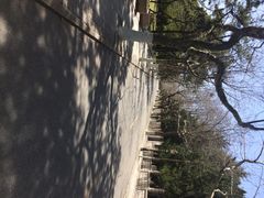 iphone_upload_pic-八大关景区