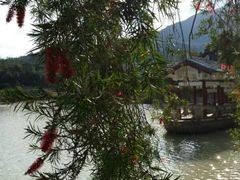 -九鲤湖风景区