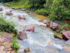 -广州白江湖森林公园