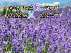 -赛里木湖风景名胜区