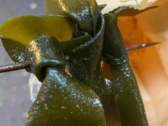 -熊仔屋(吉祥苑小区店)