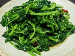 清炒洋瓜尖-云上千禾(水上店)