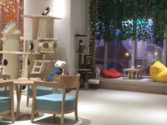 大堂-藏猫猫咖啡主题馆(中央大道店)