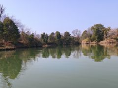 -西溪国家湿地公园