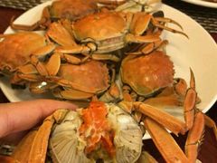 -金狮国际酒店自助餐(金狮店)