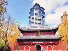 -上海白云观