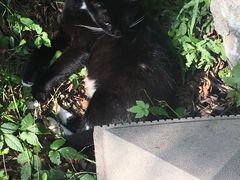 -苏堤停车场