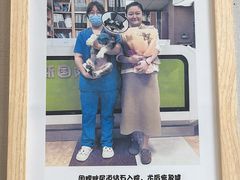 -奈斯宠物医院·核磁CT·异宠专科·内镜(中南店)