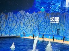 -珠海长隆海洋王国