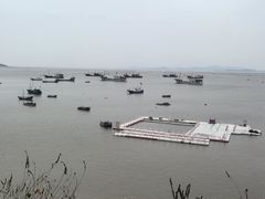 -北岐滩涂