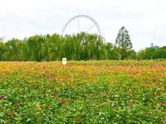 -祥源·阜阳生态乐园