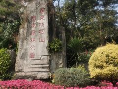 -梧桐山风景名胜区