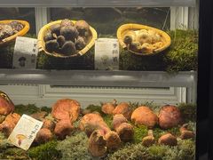 -滇野云南野生菌餐厅(陕西南路店)