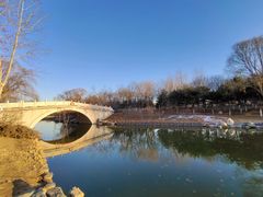 -大兴滨河森林公园