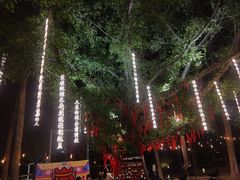 -凤城·食都