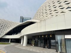 -金沙湖公园