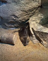 -酷嗒动物文化乐园(cutezoo西溪乐天城店)