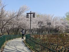 -幕燕滨江·长江观音景区