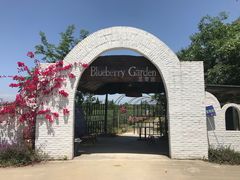 -金谷域澳洲庄园